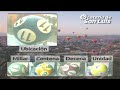 Quiniela Matutina de San Luis N°5382 30-06-2025