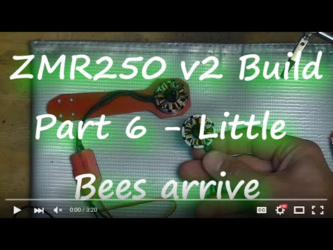 ZMR250 Build Part 6 Littlebee ESCs arrive - UClaQgHxbhlrx8ql7m6HxteQ