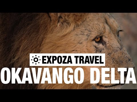 Okavango Delta Vacation Travel Video Guide - UC3o_gaqvLoPSRVMc2GmkDrg