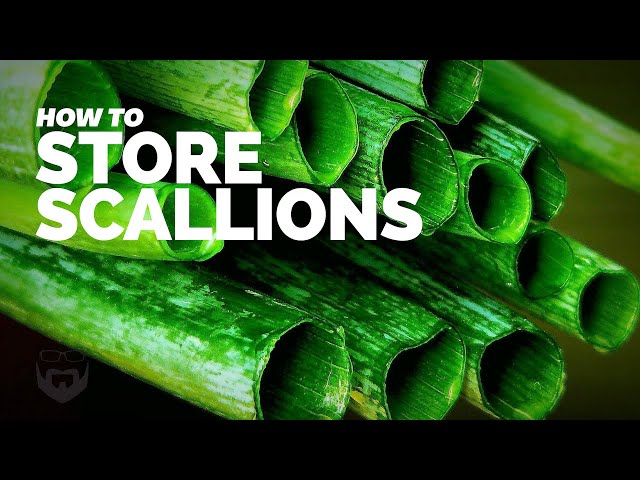 how-to-store-scallions-so-they-last-longer-a-full-table