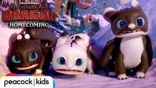 Surprise Visitors in New Berk  | HOW TO TRAIN YOUR DRAGON - HOMECOMING