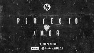 LEAD - Perfecto Amor - Lyric Video #AmorPalabraPoder