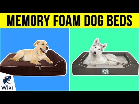 10 Best Memory Foam Dog Beds 2019 - UCXAHpX2xDhmjqtA-ANgsGmw