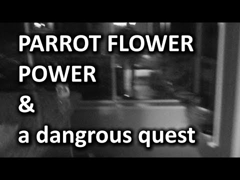 Parrot Flower Power - UCXuqSBlHAE6Xw-yeJA0Tunw