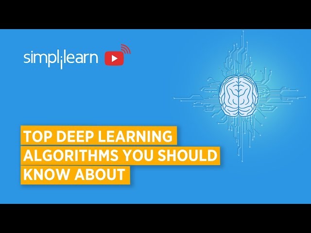 How a Deep Learning Algorithm Can Help You
