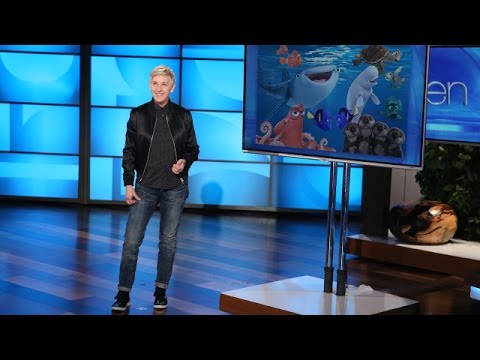 Ellen's Comments on the Travel Ban - UCp0hYYBW6IMayGgR-WeoCvQ