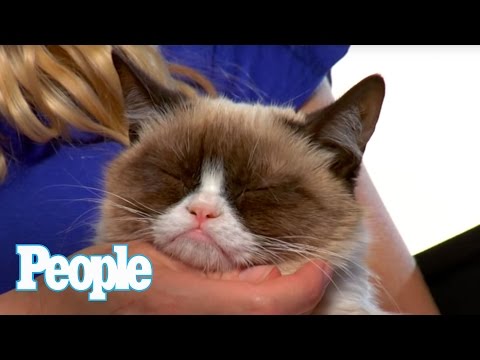 Can Grumpy Cat Smile? I PEOPLE Pets | People