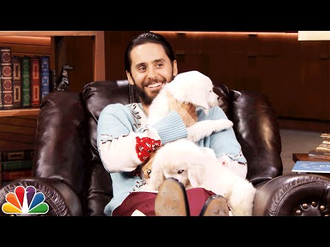 Pup Quiz with Jared Leto - UC8-Th83bH_thdKZDJCrn88g