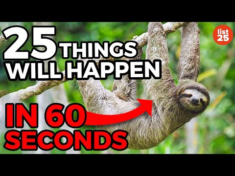 25 Things That Will Happen In The Next 60 Seconds - UCWqJpFqlX59OML324QIByZA