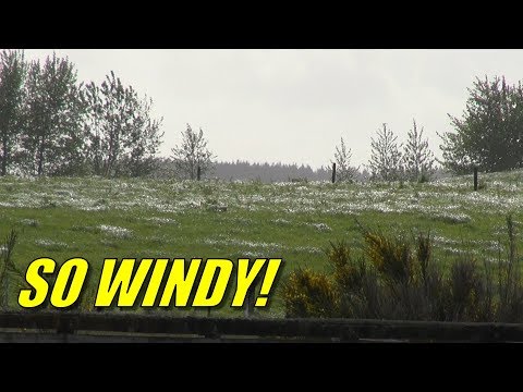 An An RC plane, a pilot with Parkinson's and a 25k wind, what could go wrong? - UCQ2sg7vS7JkxKwtZuFZzn-g