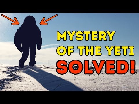 Scientists Finally Show Who The Yeti Is - UC4rlAVgAK0SGk-yTfe48Qpw