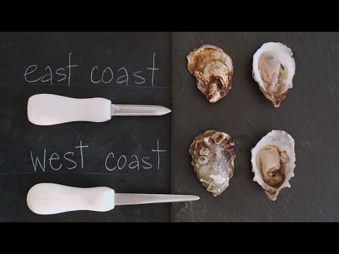 How to Shuck an Oyster Like a Pro - Kitchen Conundrums with Thomas Joseph - UCl0kP-Cfe-GGic7Ilnk-u_Q