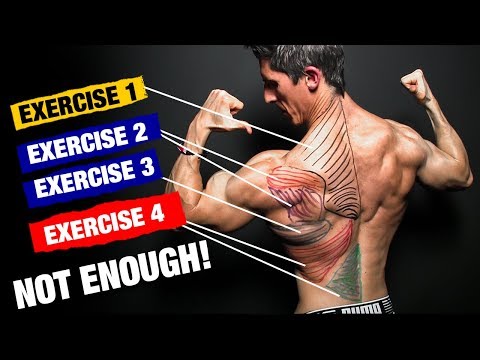 The PERFECT Back Workout (Sets and Reps Included) - UCe0TLA0EsQbE-MjuHXevj2A