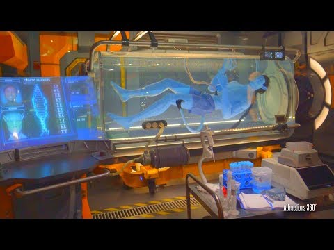 [4K] Avatar Ride Full Tour of Flight of Passage ride Queue - Disney's Animal Kingdom - UCbDGvfJHf0r_WjS9voB8POA