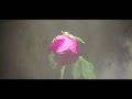 MV เพลง ตายช้าช้า - เก่ง ธชย