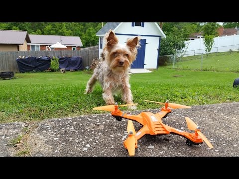 Safety Drone?!?  Check out the Tracker Drone Bojiang S5C-2 Review - TheRcSaylors - UCYWhRC3xtD_acDIZdr53huA