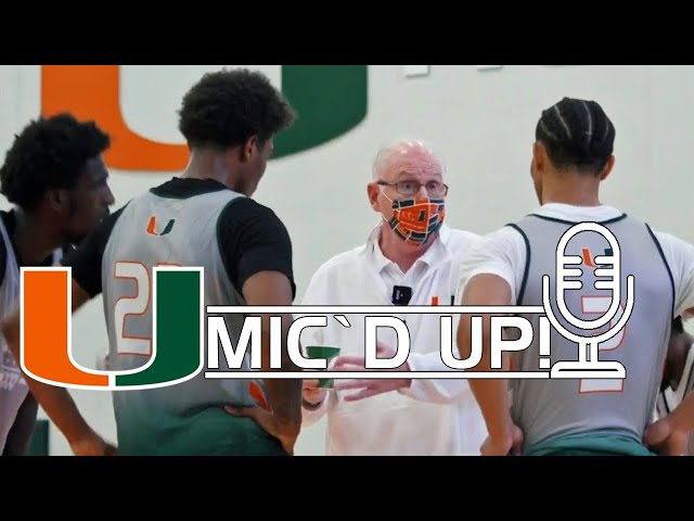 Miami Coach Basketball – The Best in the Business