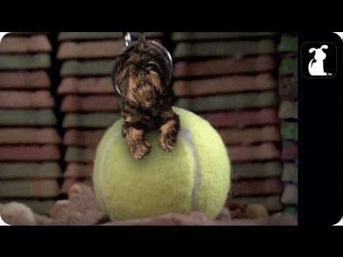 Sneek Peak Miley Cyrus - Wrecking Ball Parody - "Tennis Ball" - UCPIvT-zcQl2H0vabdXJGcpg