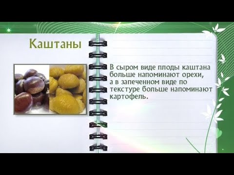 Кулинарная энциклопедия - Каштаны - UC7XBjhXnmmXFsxmnys9PmDQ