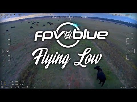 fpv.blue - Flying Low - UCcCHW737DFO1_xrO_qAaNbQ