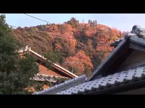 Philosoper's Path and Honen-in temple and gardens, Kyoto, Japan travel video - UCvW8JzztV3k3W8tohjSNRlw