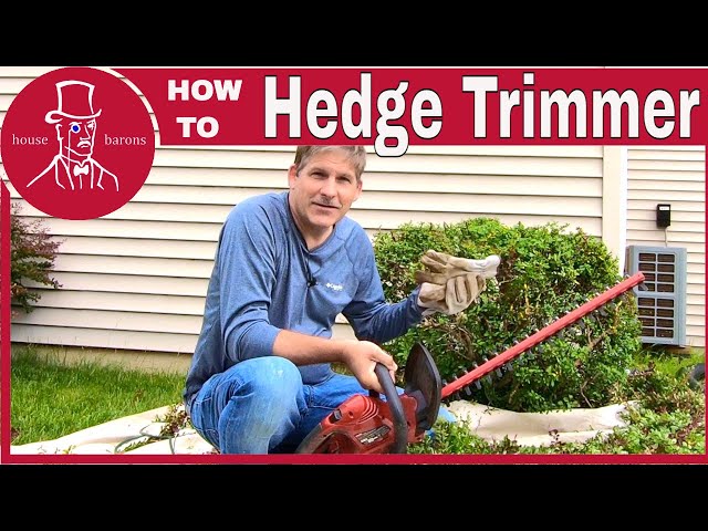 how-to-trim-hedges-with-an-electric-trimmer-thehairclippers