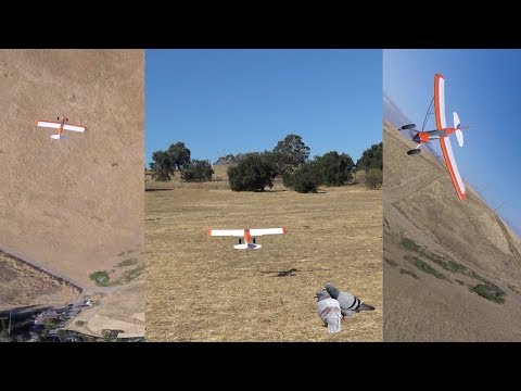 FPV chasing the Big Cub | Pigeon Talk - UCKqpeIILaupg-SvrIstn-yA