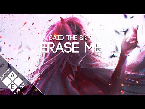 Said The Sky - Erase Me (feat. NÉONHÈART) | Chill - UCpEYMEafq3FsKCQXNliFY9A