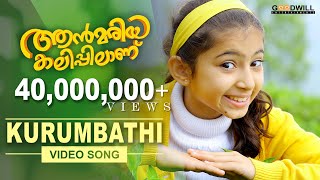 Video Trailer Ann Maria kalippilanu