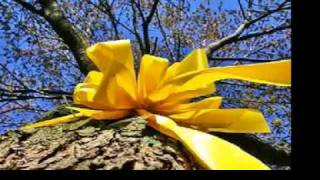 HENRI MANCINI - Tye A Yellow Ribbon Around the Old Oak Tree