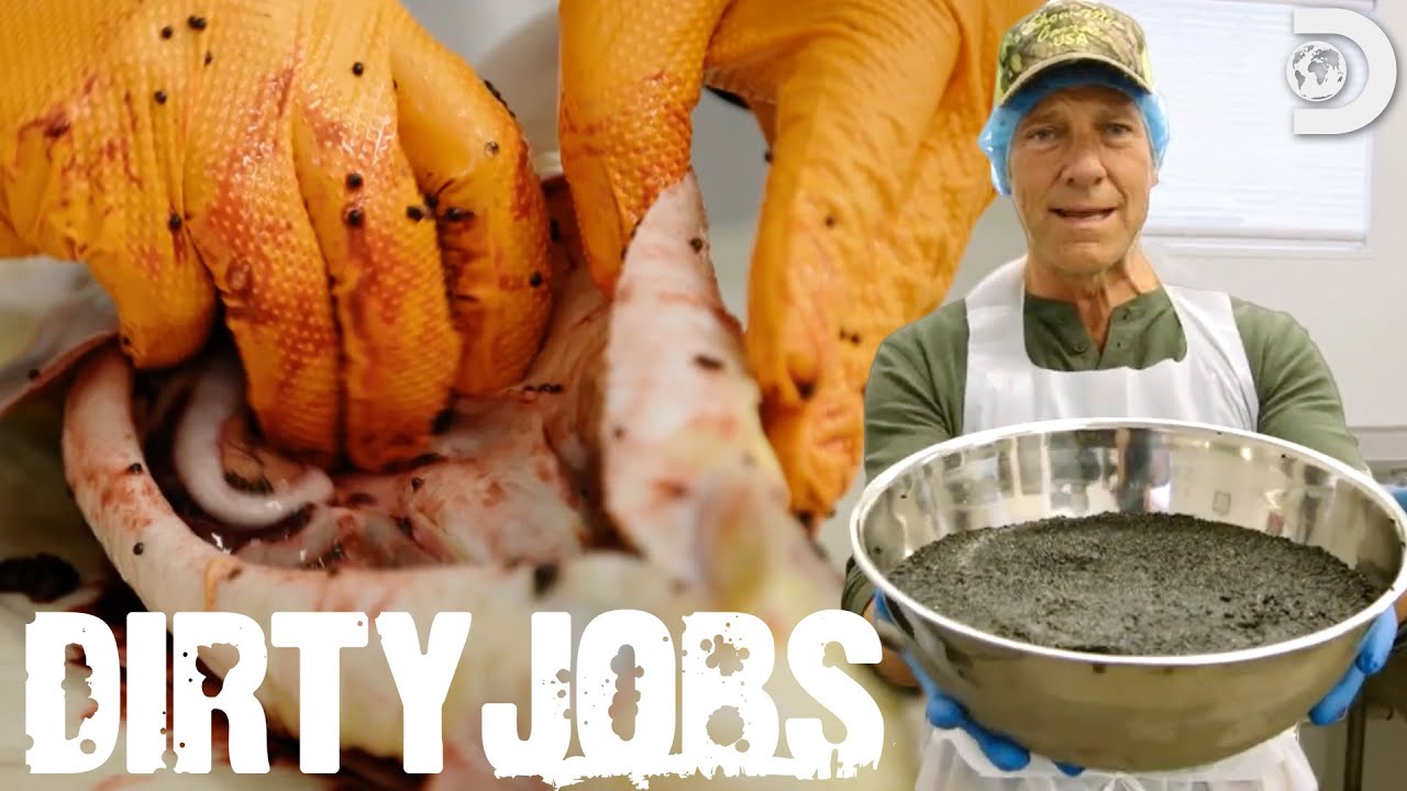 Mike Harvests Mississippi Caviar | Dirty Jobs