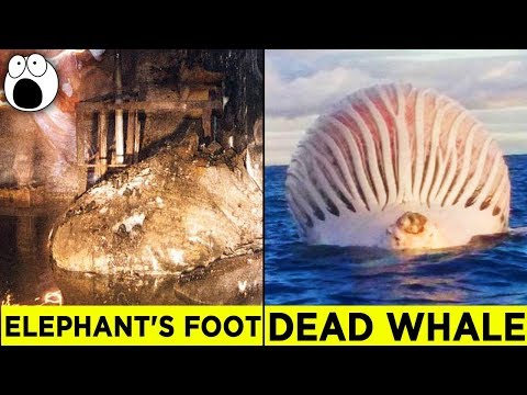 Alarming Discoveries You'll be Glad You Didn't Make - UCkQO3QsgTpNTsOw6ujimT5Q