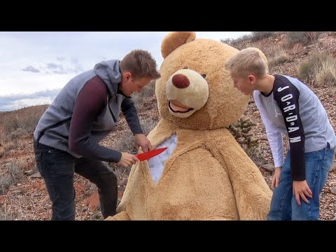 What's inside the World's Largest Teddy Bear? - UCSrPuHtKbst7Zy8pyWn_3Cg