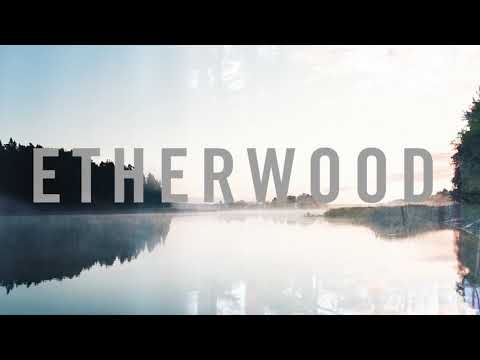 Etherwood - Frozen Grass - UCNyo1qwT4ZKuoWsyrrdoc6g