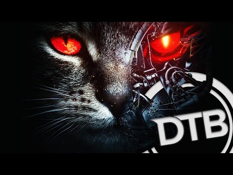 【PREMIERE】Excision & Downlink - Robo Kitty - UCiuaPbnqzf7APHMBVnpyzzQ