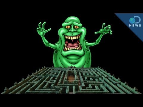 Slime Mold Solves Mazes - UCzWQYUVCpZqtN93H8RR44Qw