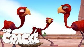 CRACKE - BIRD FIGHT | Compilation | Videos For Kids