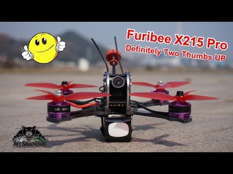 Furibee X215 Pro FPV Racing Drone Chasing a FPV Wing - UCsFctXdFnbeoKpLefdEloEQ