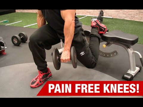 Knee Exercises for Pain Free Leg Workouts (NO MORE PAIN!) - UCe0TLA0EsQbE-MjuHXevj2A
