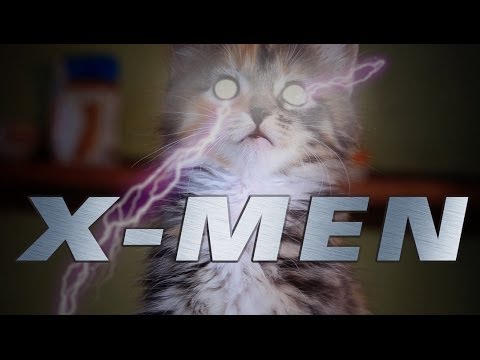 X-MEN (Cute Kitten Version) - UCPIvT-zcQl2H0vabdXJGcpg