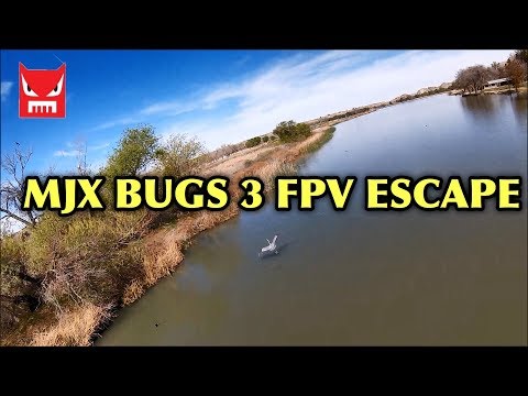 Bugs 3 FPV Escape - UC9l2p3EeqAQxO0e-NaZPCpA