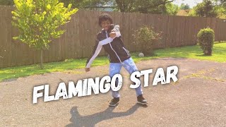 FLAMINGO STAR - Yvng Swag ft. PedritoVM (Dance Video) @YvngHomie #FlamingoStarChallenge