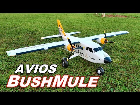 Avios BushMule - Extremely Versatile BIG RC Cargo Plane - 1500mm 59" - TheRcSaylors - UCYWhRC3xtD_acDIZdr53huA