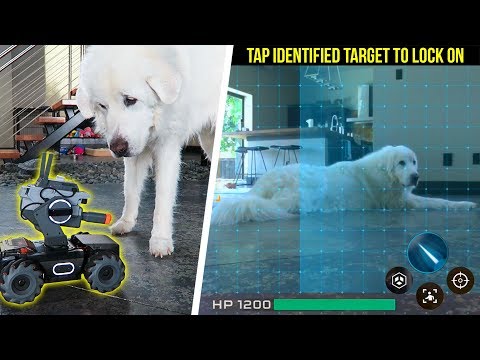 Dog vs DJI "RoboMaster" Intelligent Robot - UC36MGPfPwOWafAXauiV4LdA