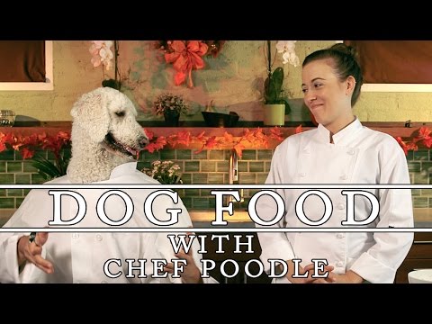 Thanksgiving Doggy Bag! - Dog Food - UCPIvT-zcQl2H0vabdXJGcpg