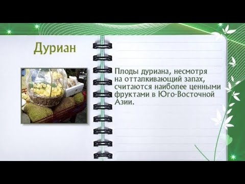 Кулинарная энциклопедия - Дуриан. - UC7XBjhXnmmXFsxmnys9PmDQ