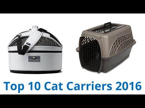 10 Best Cat Carriers 2016 - UCXAHpX2xDhmjqtA-ANgsGmw