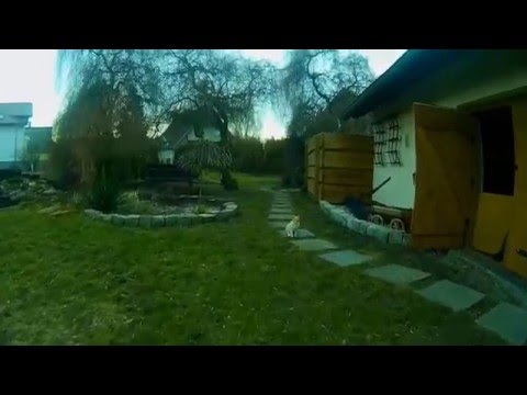 FPV Racing Drone QAV250 - learning - UC-xeng1NQ1QsFqpgAqqeIyA