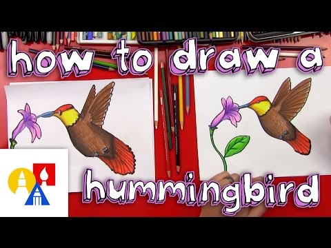 How To Draw A Hummingbird - UC5XMF3Inoi8R9nSI8ChOsdQ