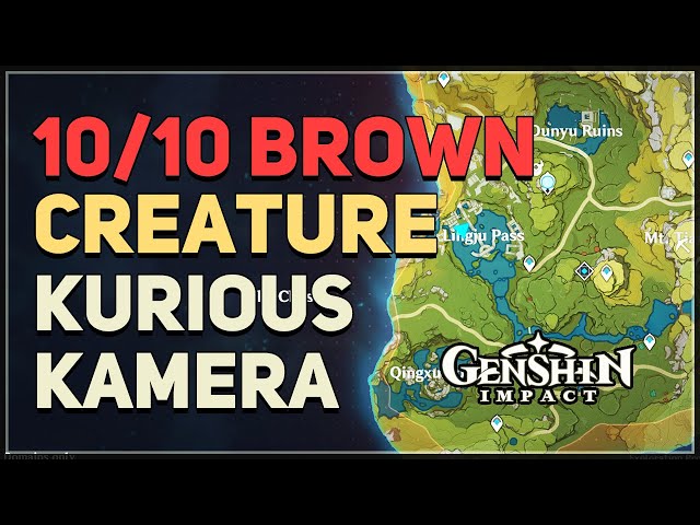 Where to Find Brown Creature Genshin Impact? How to Get Brown Creatures Photo?
